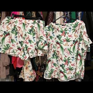 Loft Short set size 12